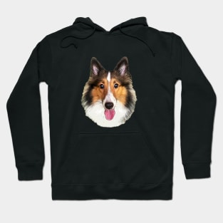 Shetland Sheepdog Sheltie Tri Puppy Dog Hoodie